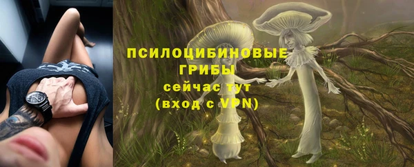 скорость Бородино