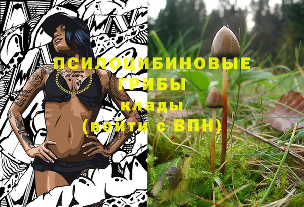 ГАЛЛЮЦИНОГЕННЫЕ ГРИБЫ Верхнеуральск
