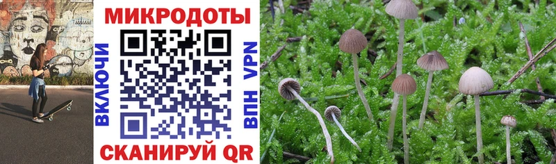 Галлюциногенные грибы Psilocybine cubensis  продажа наркотиков  Вольск 
